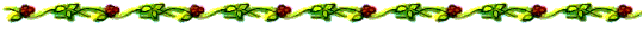 bar.gif (5813 bytes)