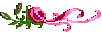 rights.gif (1354 bytes)